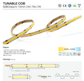 Tunable COB strip COB DOUBLE COLOR W+WW 608 Chips/M +90CRI DC 24V IP20 5 Meters 3000K + 6500K(16.56 feet) Roll LED Strip